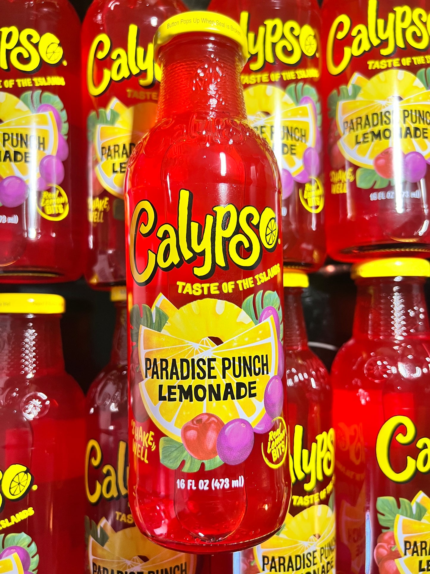 CALYPSO - Paradise Punch